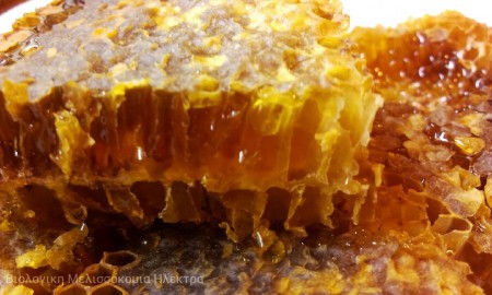 Μελογκοφρέτες!!! - Κηρήθρα με μέλι